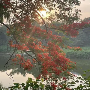 Homestay 遗忘时光guesthouse Sky Dragon, Luang Prabang